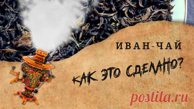 Иван-чай: как это делается