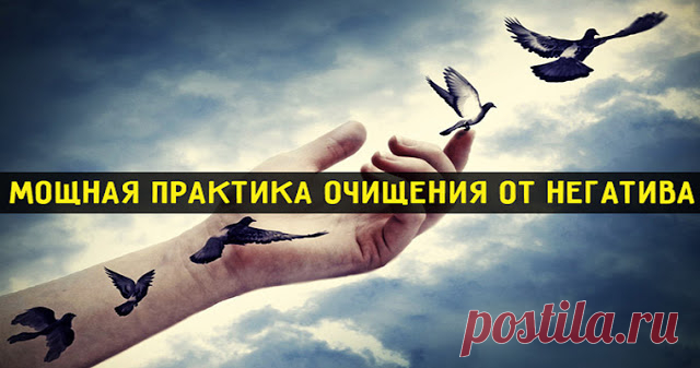 Мощная практика очищения от негатива 
 
Для того, чтобы ускорить процесс достижения целей, необходимо провести процесс очищения от негативных мыслей.
 
Обиды и негатив иногда настолько сильно препятствуют нашему успеху, что мы просто не …