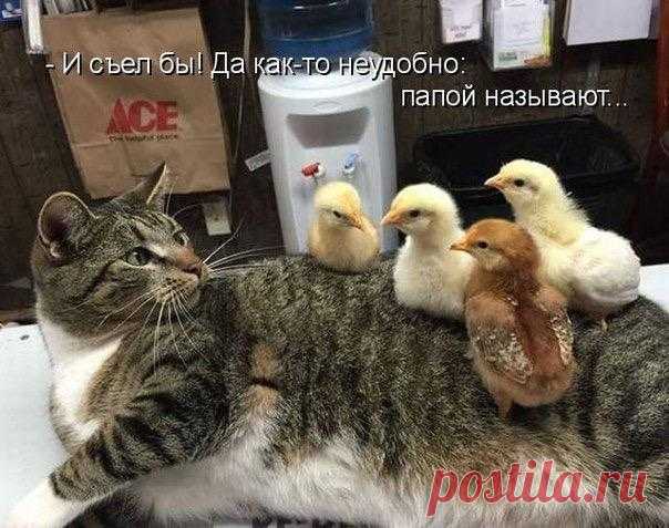 Мой Мир@Mail.Ru