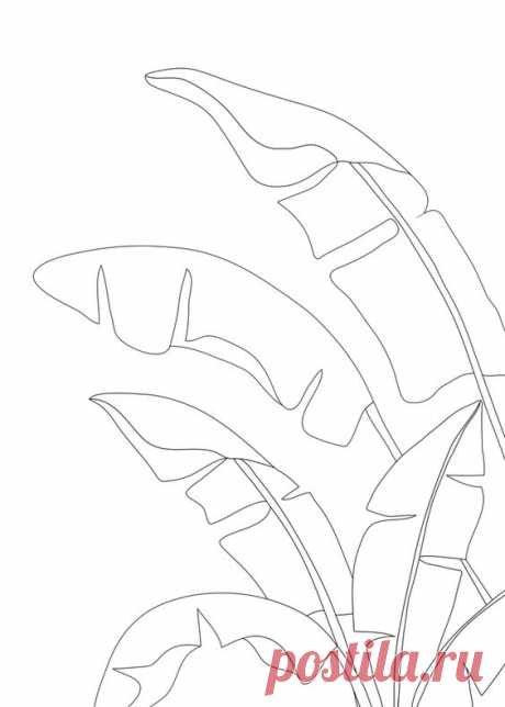 Minimal Line Art Banana Leaves Throw Pillow by Nadja