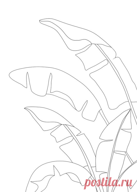 Minimal Line Art Banana Leaves Throw Pillow by Nadja