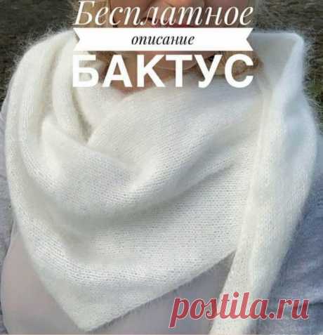 Бактус из ангоры