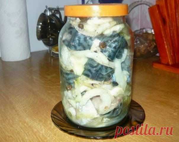 Кулинарные рецепты: Маринуем скумбрию! Пальчики оближешь!