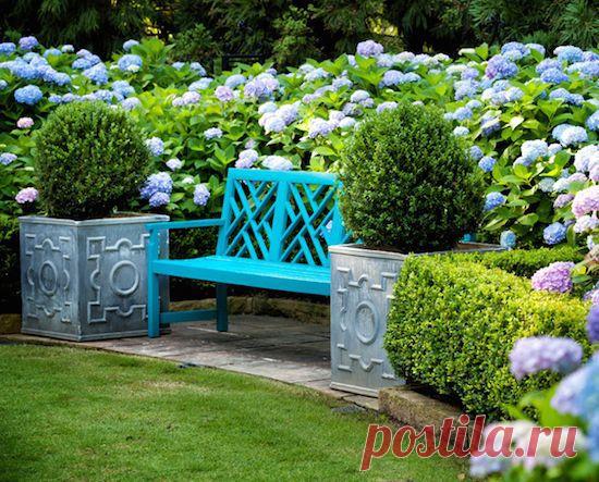 В царстве гортензий |Sandra Jensen приколол(а) это к доске Gardens