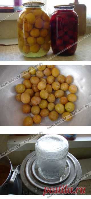 Сливы на зиму пошаговый рецепт с фото