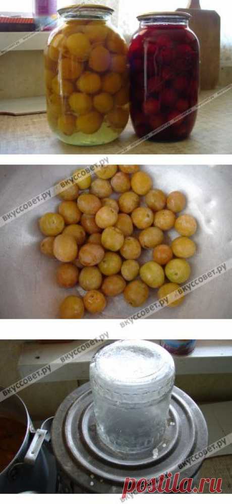 Сливы на зиму пошаговый рецепт с фото
