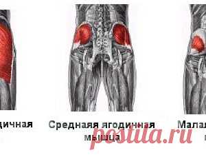 Как накачать ягодицы в домашних условиях