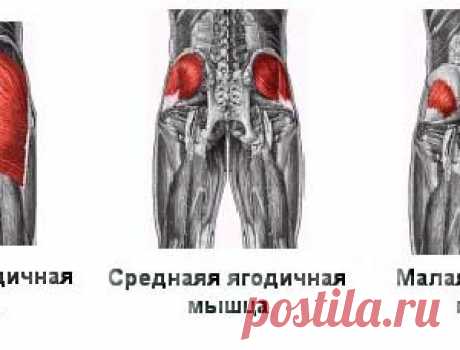 Как накачать ягодицы в домашних условиях