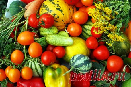 урожай осени