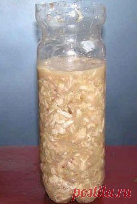 (73) Одноклассники