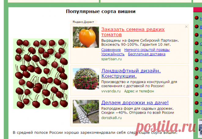Популярные сорта вишни
