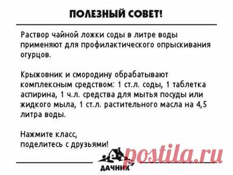 Опрыскивание сада
