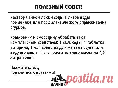 Опрыскивание сада