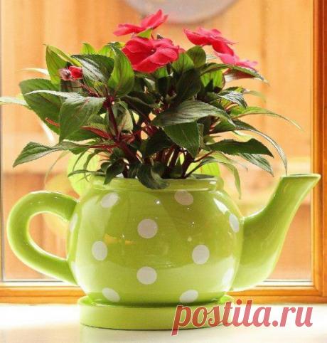 Креативные и практичные идеи и приспособления — Роскошь и уют