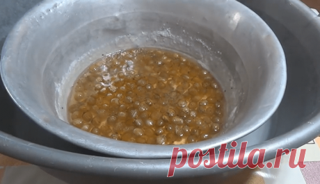 Варенье из крыжовника с вишневыми листьями царское (изумрудное) - Вкусные идеи Варенье из крыжовника с вишневыми листьями не случайно одарено эпитетами «царское», «изумрудное». Существует версия, что Екатерина II, попробовав однажды