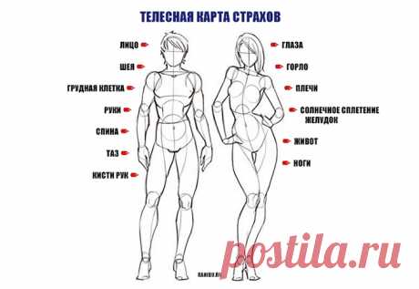 ТЕЛЕСНАЯ КАРТА СТРАХОВ.