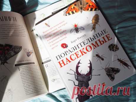 🐞 Друзья, ваши дети интересуются насекомыми? Если да, то наша новая энциклопедия точно им понравится. В ней они найдут много реалистичных иллюстраций и любопытных фактов. Публикуем несколько из них. Вес насекомых Научное название имеют почти 1,5 миллиона видов животных нашей планеты, из них чуть меньше миллиона — это насекомые. Две трети всех известных живых существ! Хотя вполне может оказаться, что настоящее количество видов насекомых в пять, а то и в десять раз больше. Или сравним, к…