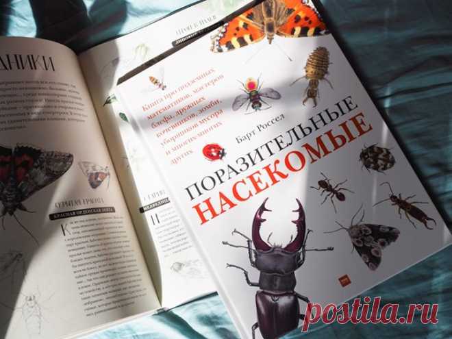🐞 Друзья, ваши дети интересуются насекомыми? Если да, то наша новая энциклопедия точно им понравится. В ней они найдут много реалистичных иллюстраций и любопытных фактов. Публикуем несколько из них. Вес насекомых Научное название имеют почти 1,5 миллиона видов животных нашей планеты, из них чуть меньше миллиона — это насекомые. Две трети всех известных живых существ! Хотя вполне может оказаться, что настоящее количество видов насекомых в пять, а то и в десять раз больше. Или сравним, к…