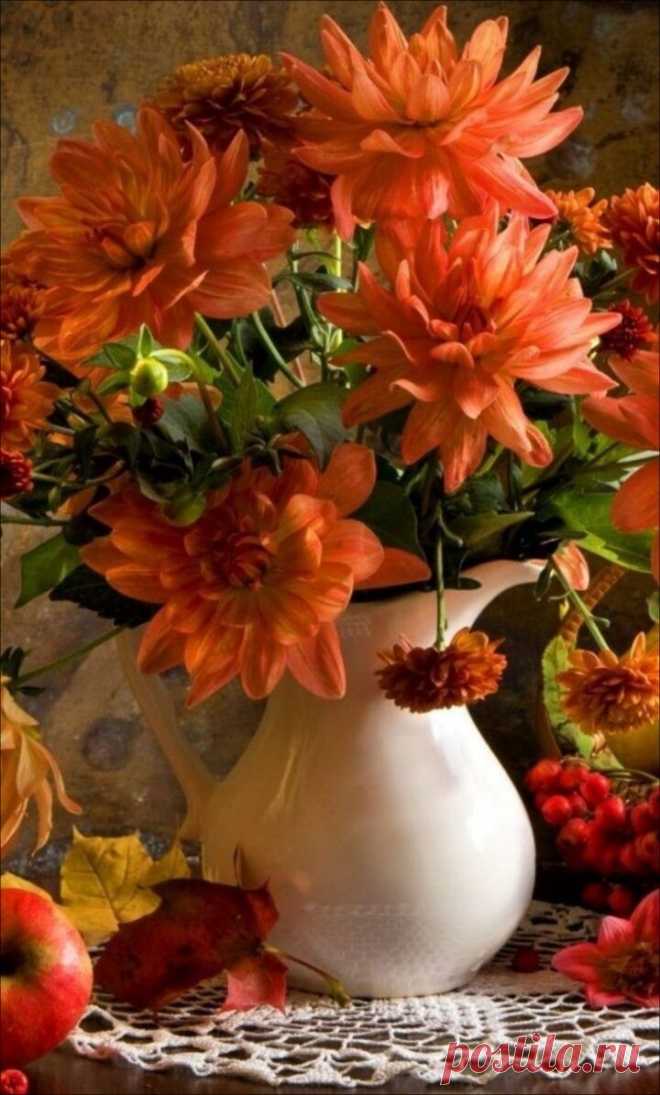 i (720×1195)