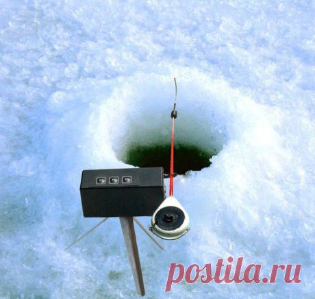 Электромеханическая удочка для зимней рыбалки / Богатая добыча