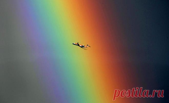 радуга: 34 тыс изображений найдено в Яндекс.Картинках