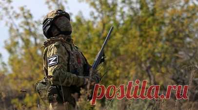 FT: российское подразделение «Рубикон» кардинально поменяло ситуацию в зоне СВО. Российское подразделение «Рубикон» изменило ситуацию в зоне проведения специальной военной операции своими эффективными действиями против украинских операторов дронов. Об этом пишет газета The Financial Times. Читать далее