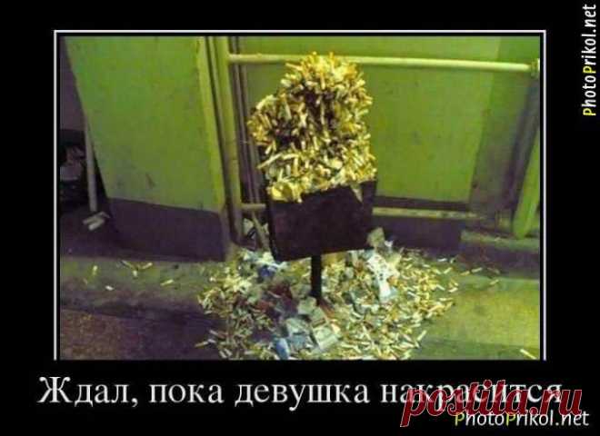 Смотреть Фото приколы, Демотиваторы и смешные фотографии на сайте - photoprikol.net » Страница 3