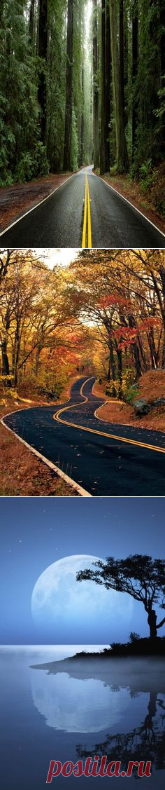 (77) в pinterest • каталог мира идей