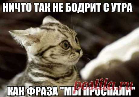 Фото-приколы