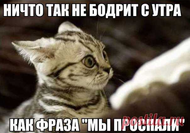 Фото-приколы