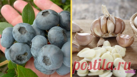 Рацион молодости и долголетия — Домашние