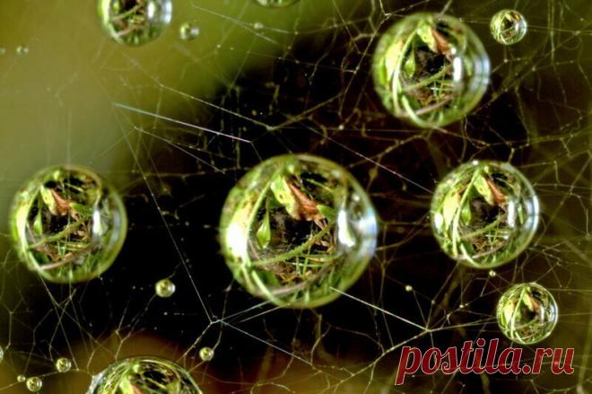 Обычные вещи под микроскопом выглядят как фантастический мир) | PRO ART | Яндекс Дзен