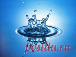 Все статьи о Сонник
