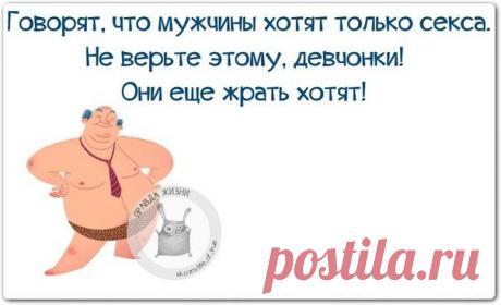 ПРИКОЛЬНЫЕ КАРТИНКИ С ПОЗИТИВНЫМИ ФРАЗКАМИ | Сайт Союза Юмористов