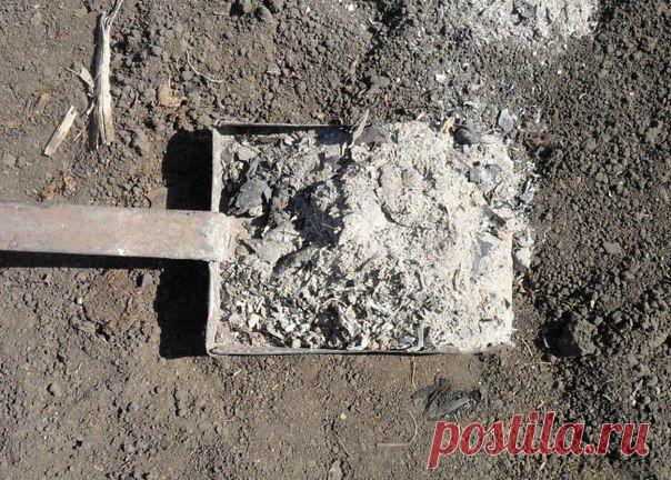 СОВЕТЫ САДОВОДОВ