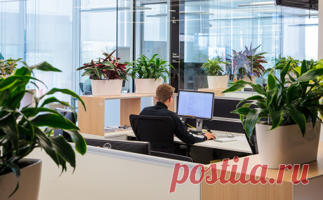 Минцифры разъяснило отсрочку для ИТ-специалистов и журналистов. Отсрочку получат сотрудники ряда ИТ-компаний, СМИ и операторов связи, которые работают по специальности. Списки в Генштаб должны будут подать работодатели