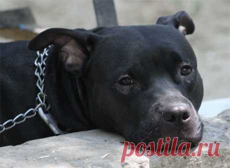 Притча о проблемах