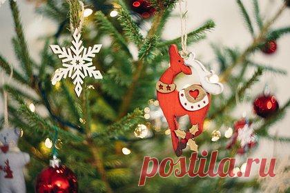 Россияне стали больше тратиться на новогодние елки. В 2023 году в России значительно вырос средний чек на покупку живой и искусственной ели, также увеличилось количество покупок таких товаров. В случае с живыми деревьями рост составил от 9 до 15 процентов в зависимости от вида дерева. Вырос и средний чек на еловые ветки.