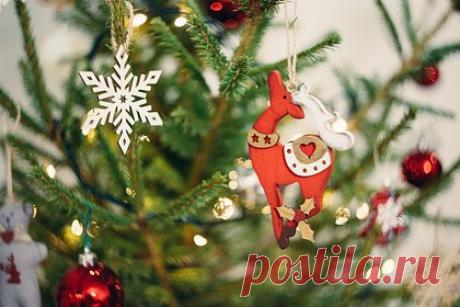 Россияне стали больше тратиться на новогодние елки. В 2023 году в России значительно вырос средний чек на покупку живой и искусственной ели, также увеличилось количество покупок таких товаров. В случае с живыми деревьями рост составил от 9 до 15 процентов в зависимости от вида дерева. Вырос и средний чек на еловые ветки.