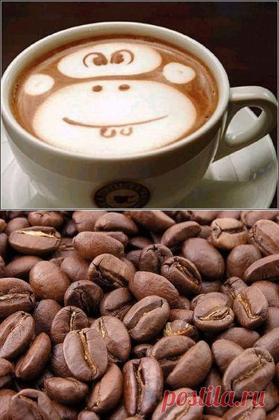 77 фактов о кофе