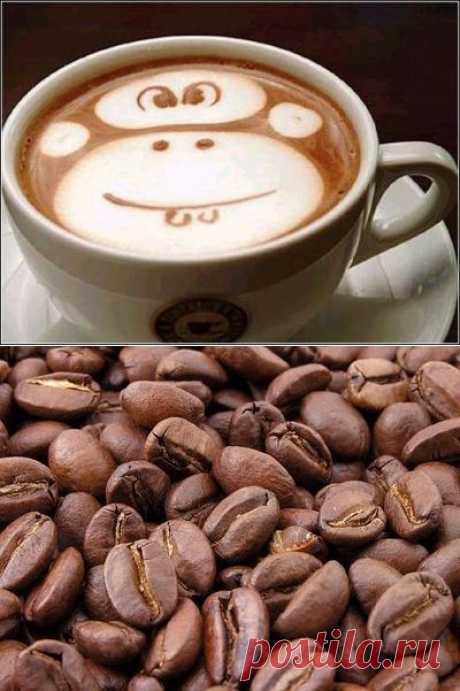 77 фактов о кофе