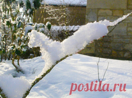 ПРИРОДА КАК ОНА ЕСТЬ....