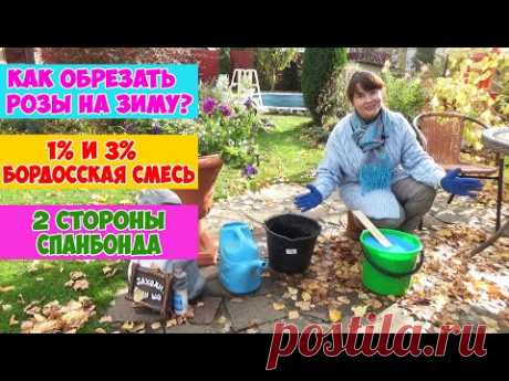 ОБРЕЗКА, ОБРАБОТКА и УКРЫТИЕ РОЗ НА ЗИМУ. Как обрезать розы на зиму? Чем обработать? Как укрывать?