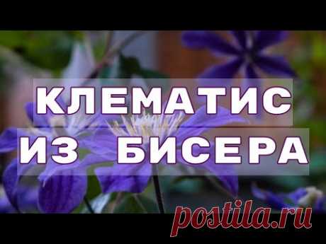 Цветок клематиса  из бисера в технике "Пейот". Бисероплетение. Мастер класс.