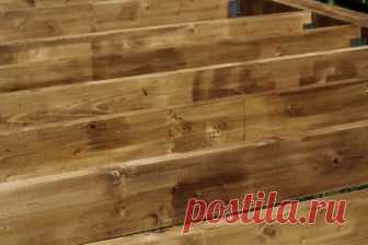 (7) Universal University - Главная