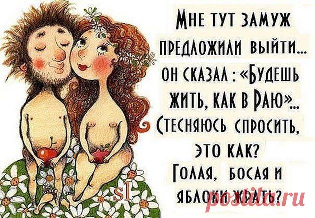 - Ты слышал, Вася начитался интернета, купил фальшивый сирийский паспорт и дернул в Германию... 
Закон семейной драматургии — чем больше актов, тем меньше сцен.

- Ты слышал, Вася начитался интернета, купил фальшивый сирийский паспорт и дернул в Германию.- Ну и как?- Раскусили его. В мечети крес…