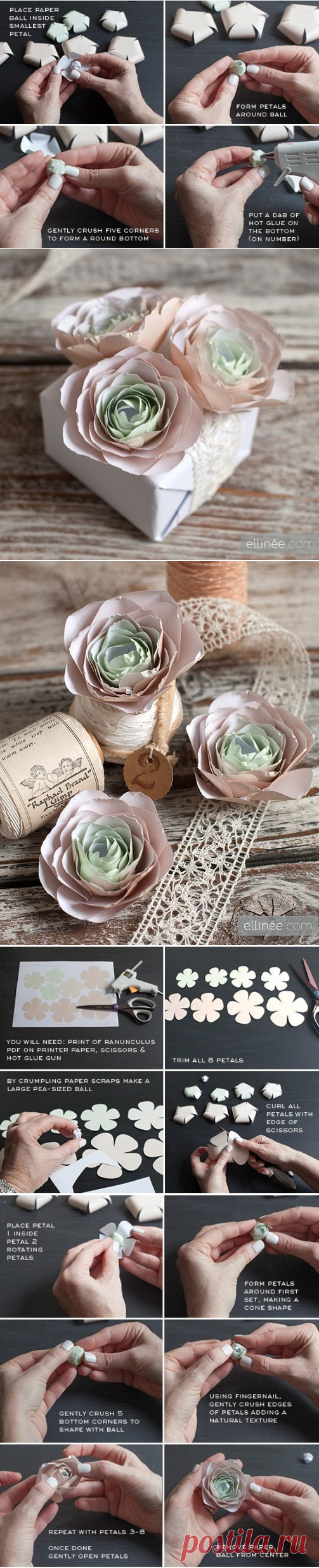 Цветы из бумаги: ранункулюсы — Сделай сам, идеи для творчества - DIY Ideas