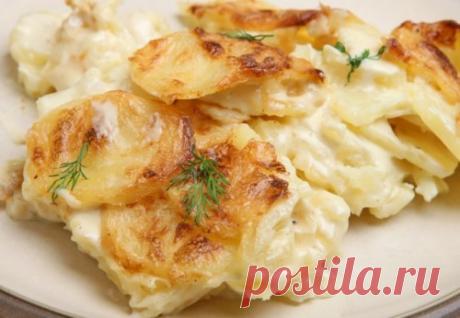 Готовим нежный картофель в молоке в мультиварке по проверенным рецептам