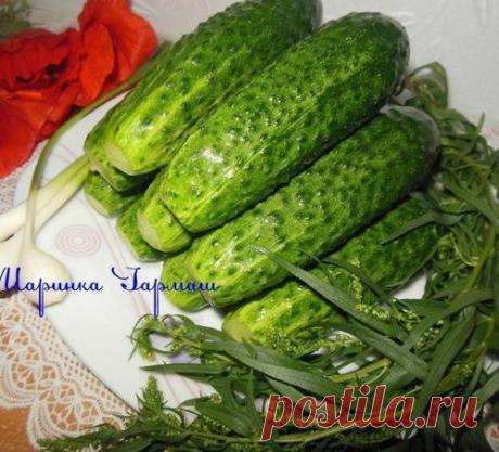 Малосольные огурчики на минералке...