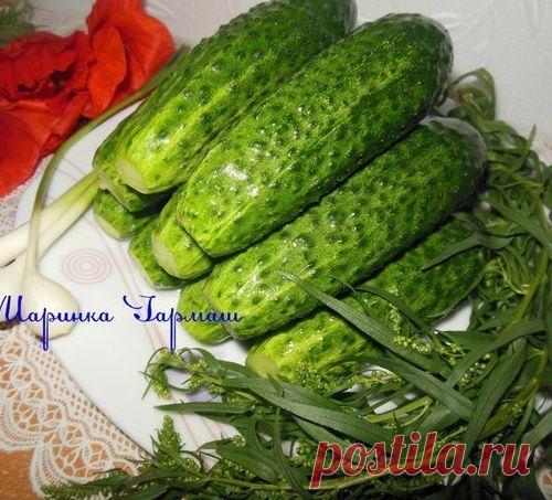 Малосольные огурчики на минералке...